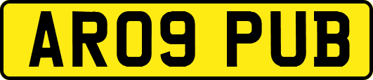 AR09PUB