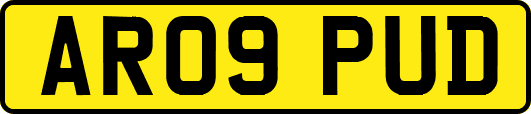 AR09PUD
