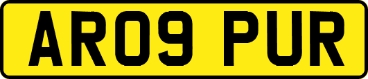 AR09PUR