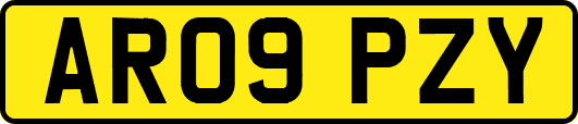 AR09PZY