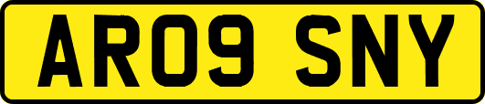 AR09SNY