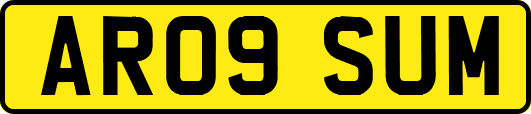 AR09SUM