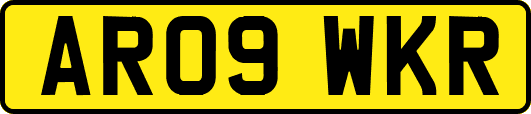 AR09WKR