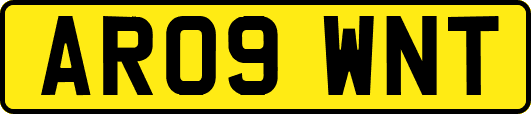 AR09WNT