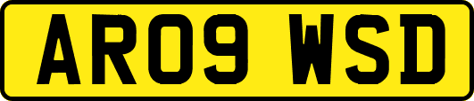 AR09WSD