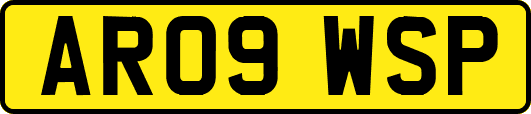 AR09WSP