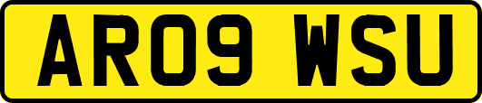 AR09WSU