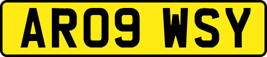 AR09WSY