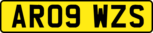 AR09WZS