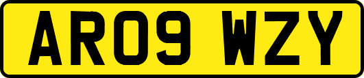 AR09WZY