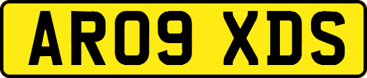 AR09XDS