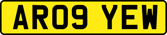 AR09YEW