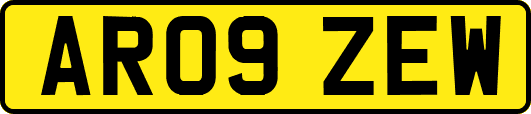 AR09ZEW