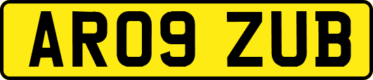 AR09ZUB