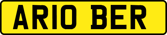 AR10BER