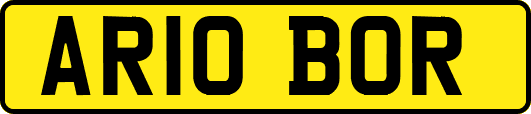 AR10BOR