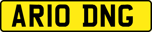 AR10DNG