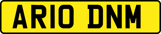 AR10DNM