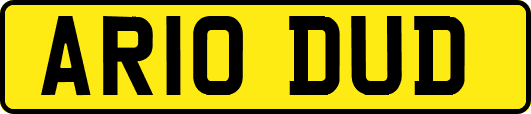 AR10DUD