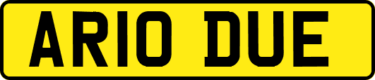 AR10DUE