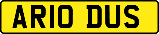 AR10DUS