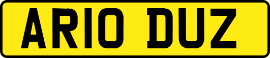 AR10DUZ