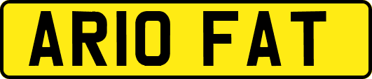 AR10FAT