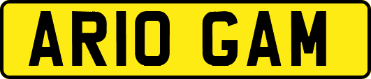 AR10GAM