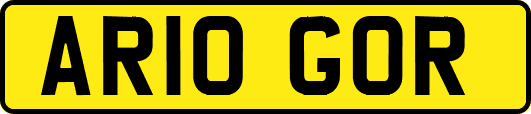 AR10GOR