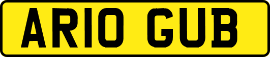 AR10GUB