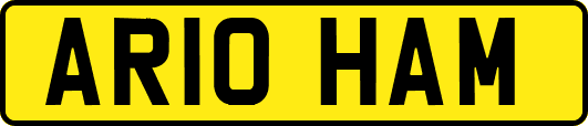 AR10HAM