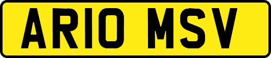 AR10MSV