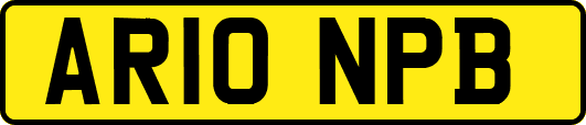 AR10NPB