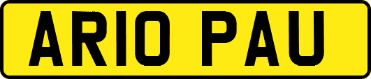 AR10PAU