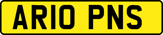 AR10PNS