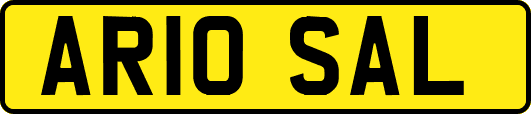 AR10SAL