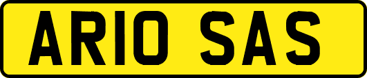 AR10SAS