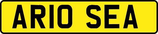 AR10SEA