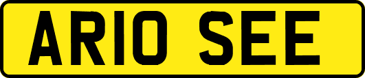 AR10SEE