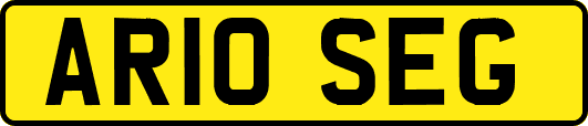 AR10SEG