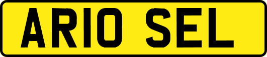 AR10SEL