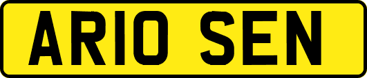 AR10SEN