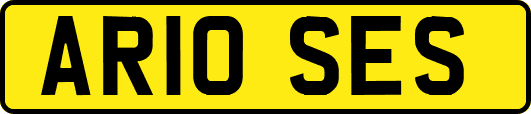 AR10SES