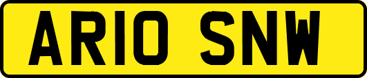 AR10SNW