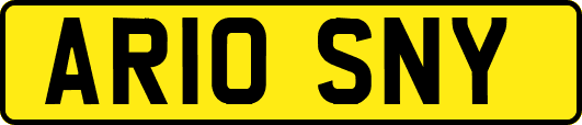 AR10SNY