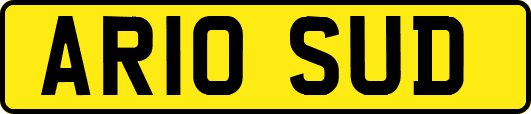 AR10SUD