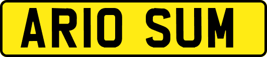 AR10SUM