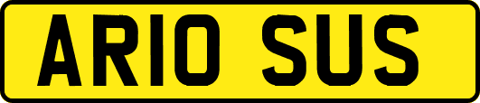 AR10SUS