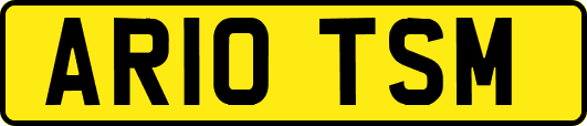 AR10TSM