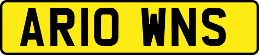 AR10WNS